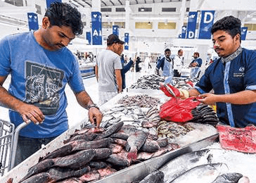 fish market dubai,fish markets in dubai,fish market waterfront