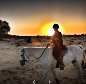 Horse riding Dubai, horseback riding, dubai horse riding