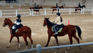 Horse riding Dubai, horseback riding, dubai horse riding