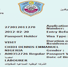 how qatar visa look like