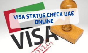 Visa Status Check UAE Online